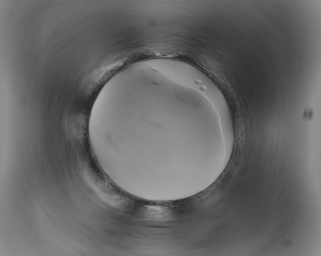 X0000114390167200911061523