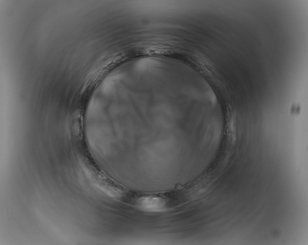 X0000114390169200911061523