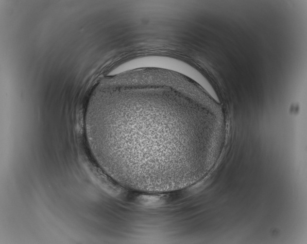 X0000114390170200911061523