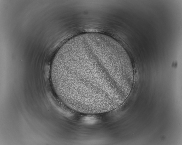 X0000114390171200911061523