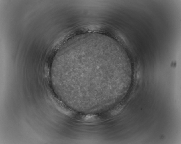 X0000114390173200911061523