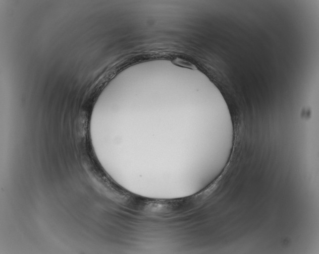X0000114390174200911061523