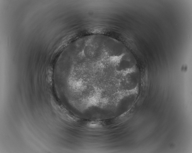 X0000114390175200911061523