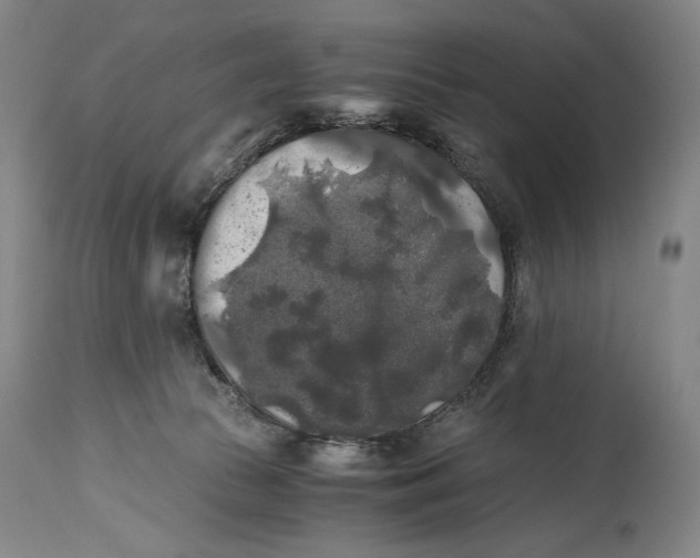 X0000114390177200911061523