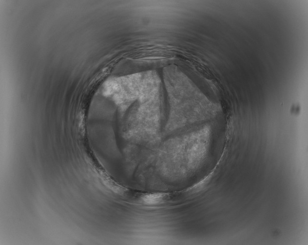 X0000114390178200911061523