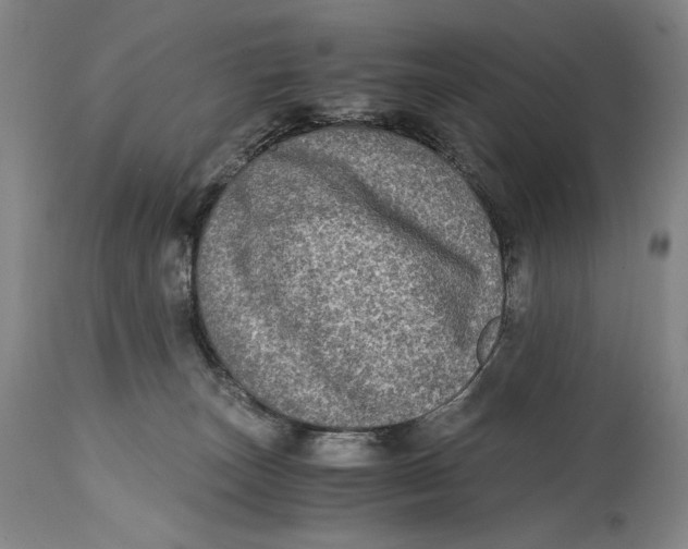 X0000114390179200911061523
