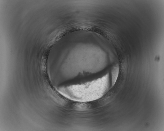 X0000114390181200911061523