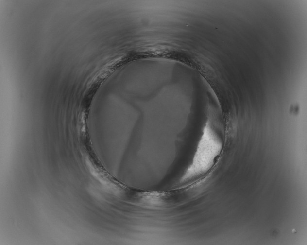 X0000114390182200911061523