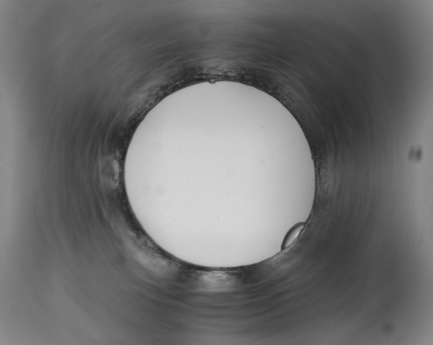 X0000114390183200911061523