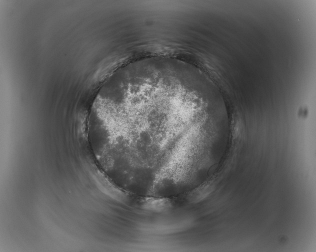 X0000114390185200911061523