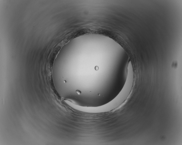 X0000114390186200911061523