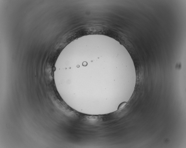 X0000114390187200911061523