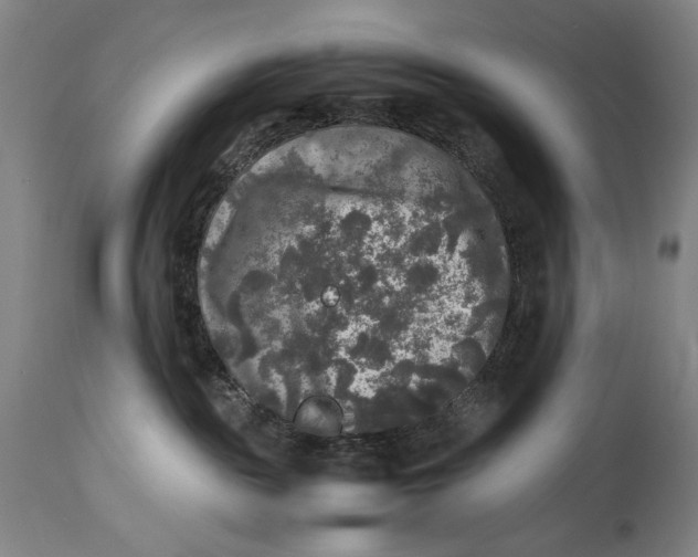 X0000114390189200911061523