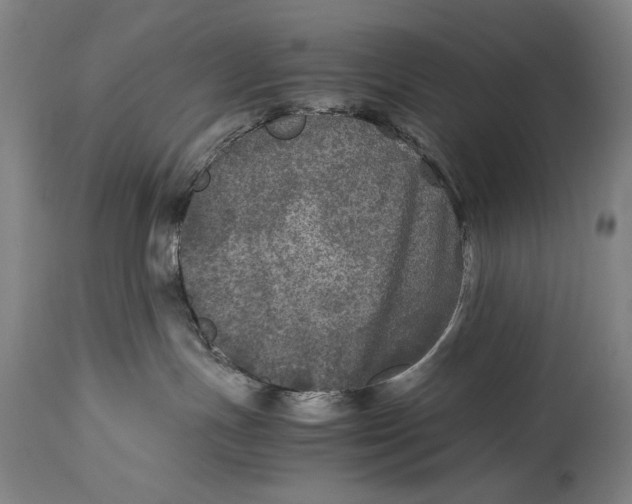 X0000114390191200911061523