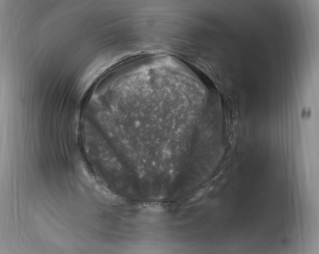 X0000114390194200911061523