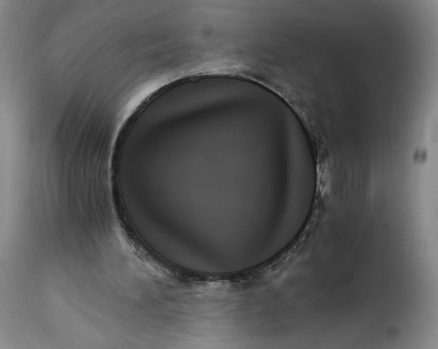 X0000114390196200911061523