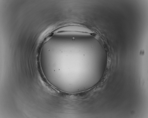 X0000114390197200911061523