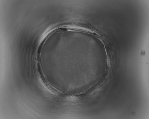 X0000114390198200911061523