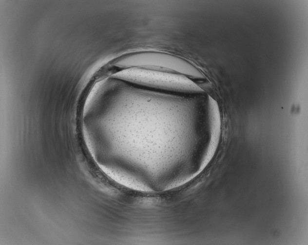 X0000114390200200911061522