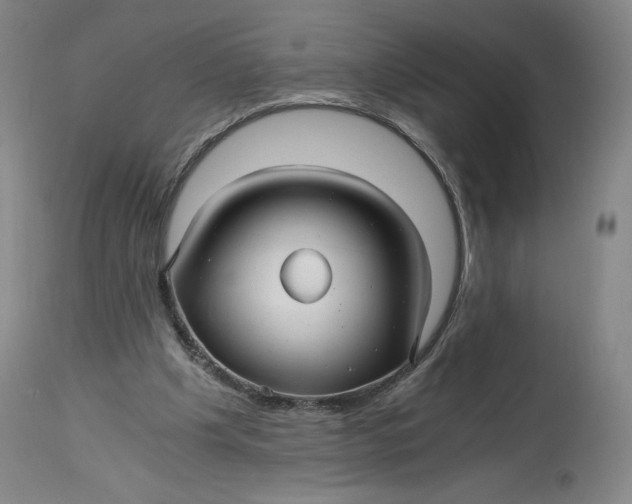 X0000114390201200911061522
