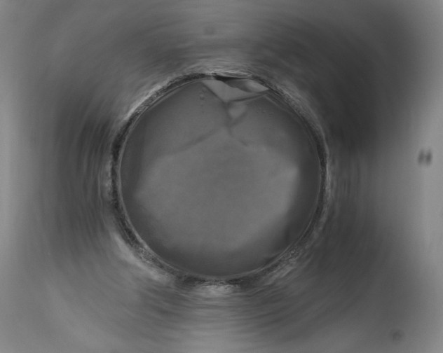 X0000114390202200911061522