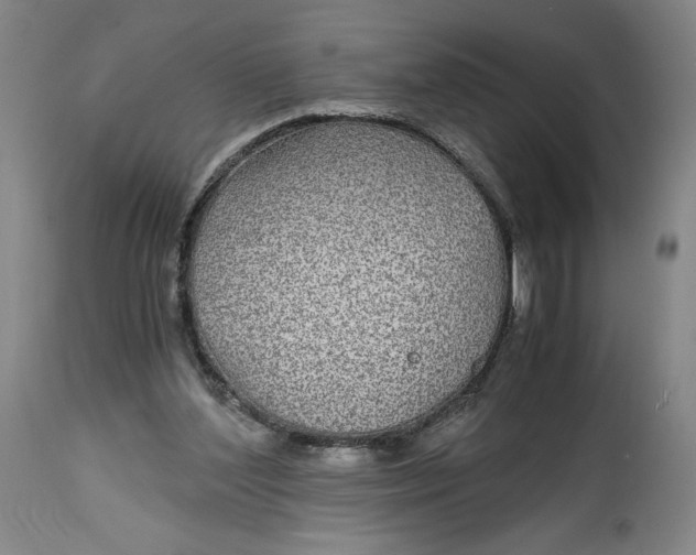 X0000114390204200911061522