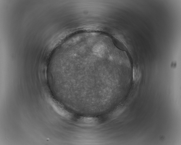 X0000114390205200911061522