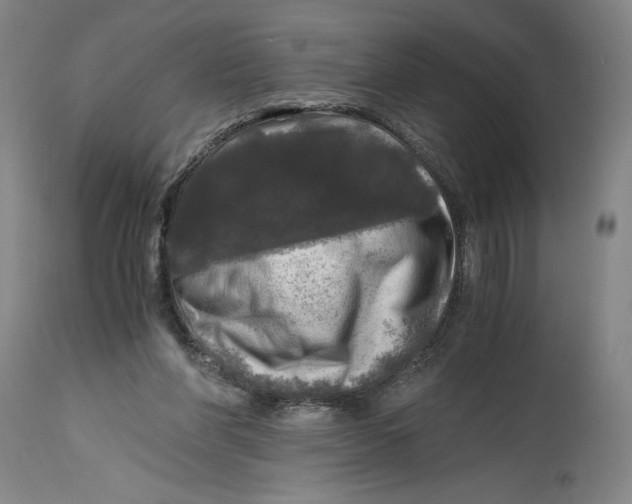 X0000114390206200911061522