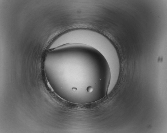 X0000114390207200911061522