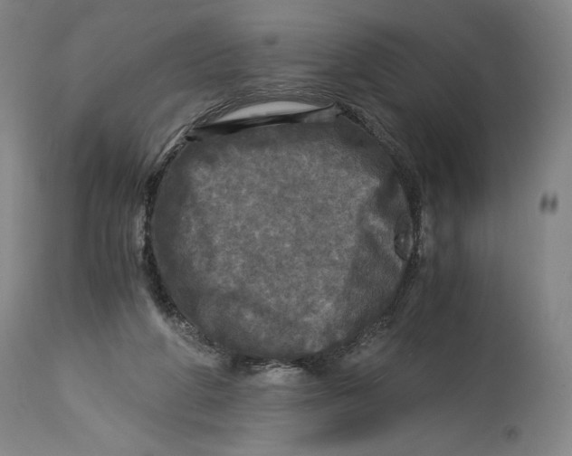 X0000114390210200911061522
