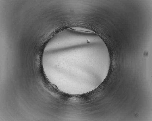 X0000114390211200911061522