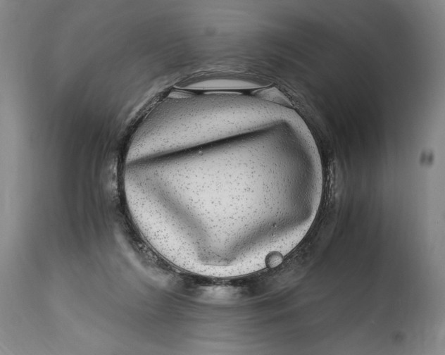X0000114390212200911061522