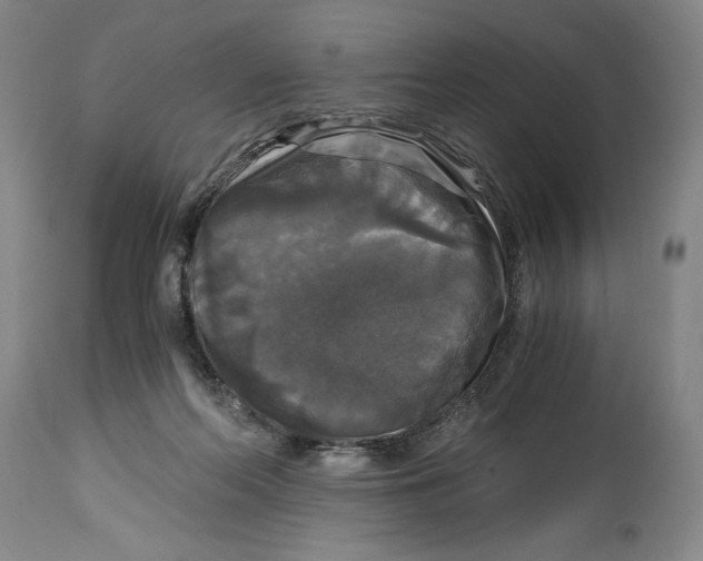 X0000114390214200911061522