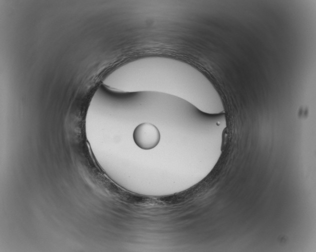 X0000114390215200911061522