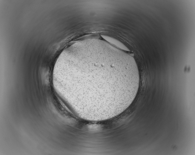 X0000114390216200911061522