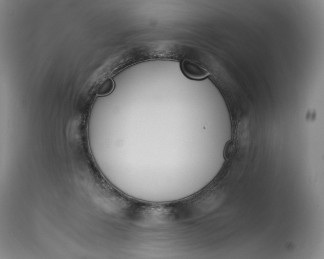 X0000114390217200911061522