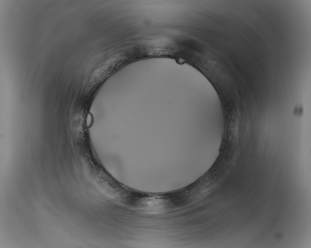 X0000114390219200911061522