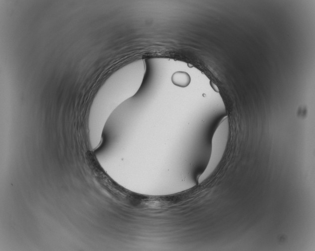 X0000114390221200911061522