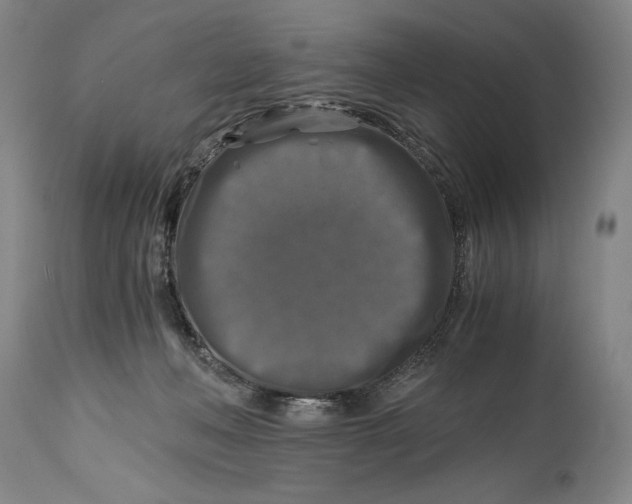 X0000114390222200911061522