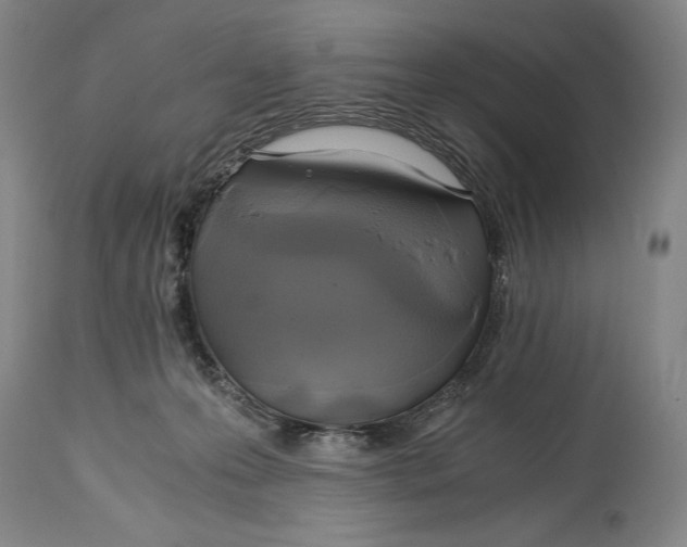 X0000114390223200911061522