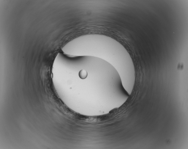 X0000114390225200911061522
