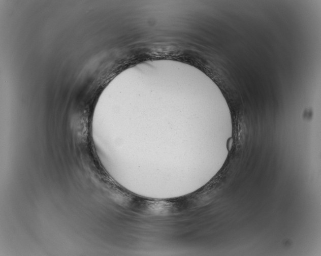 X0000114390226200911061522