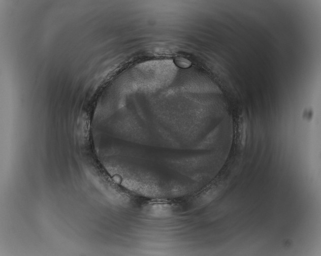 X0000114390228200911061522