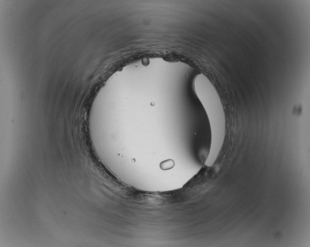 X0000114390229200911061522