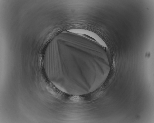 X0000114390231200911061522