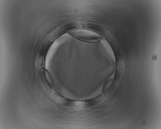 X0000114390233200911061522