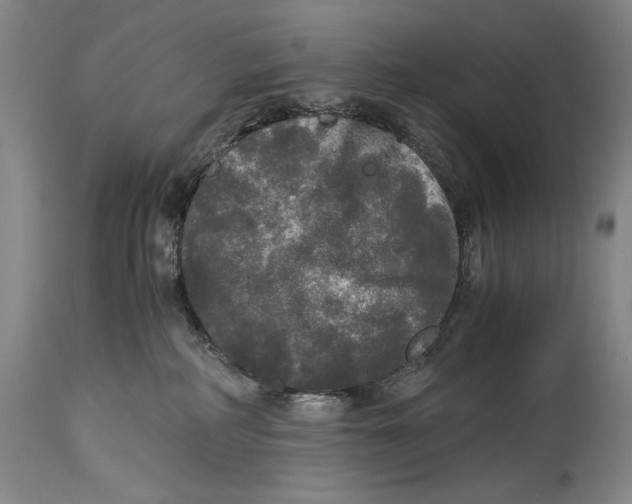 X0000114390234200911061522