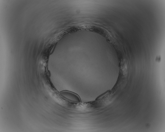 X0000114390235200911061522