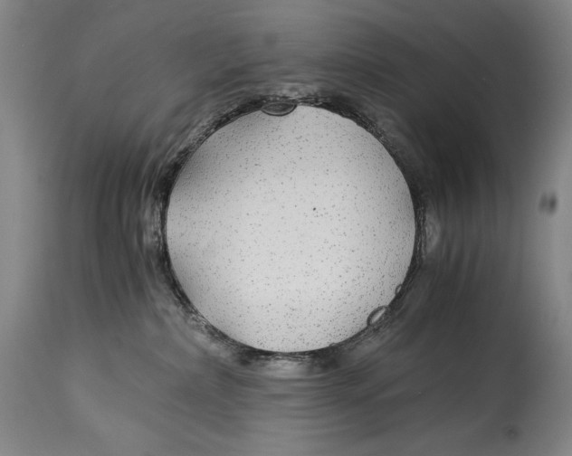 X0000114390236200911061522