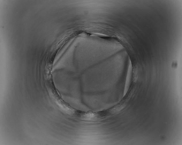 X0000114390237200911061522